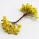 Decorative berries, yellow, 7 × 6 × 7 cm, 40 berries
