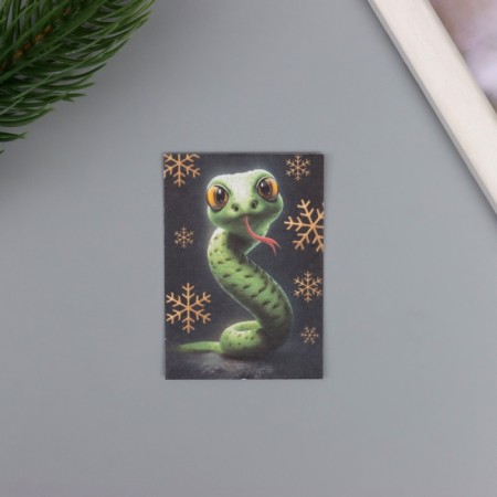 Postcard with seeds "grow itself" "snake" 5*7cm