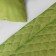 Bedspread with pillowcases "Tina", size 230x250 cm, green color