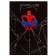 Diary A5, 160 sheets "Spider-Man", Spider-Man