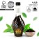 Black tea "Queen of Beauty" with mint, 115 (18+)