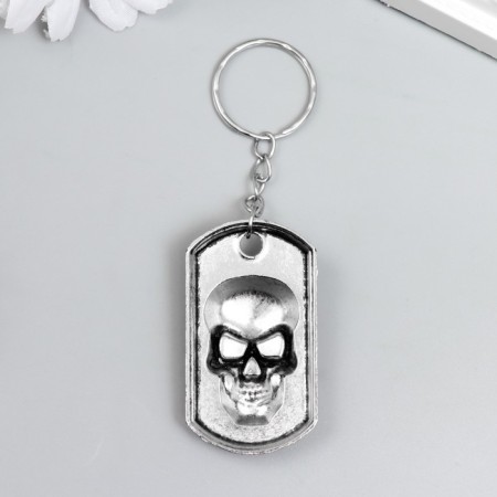 Trick Metal "Token with a skull" silver 5x2.5 cm-2