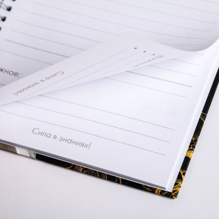 Diary on the crest "Golden Teacher", A5 format, 60 sheets, solid cover-3