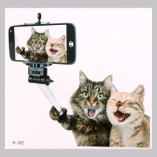 Stick 3D interior cats 30*30cm