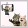 Stick 3D interior cats 30*30cm