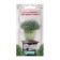 Seeds of Isotoma Flowers Sail "Star Lights", 5 pcs