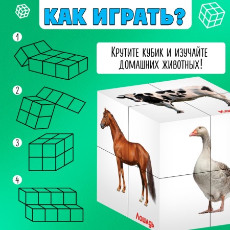 Developing transformer "smartik: pets"-2