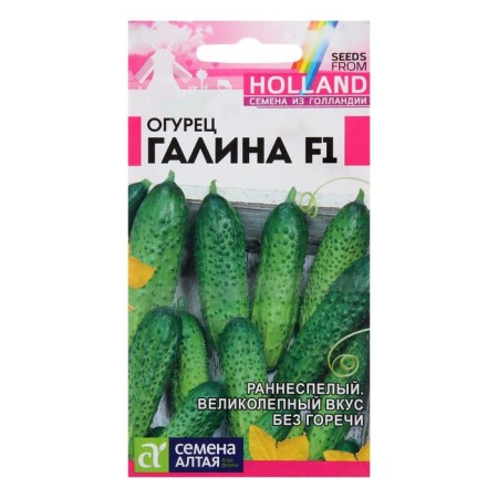 Cucumber seeds "Galina", F1, 5 pcs.