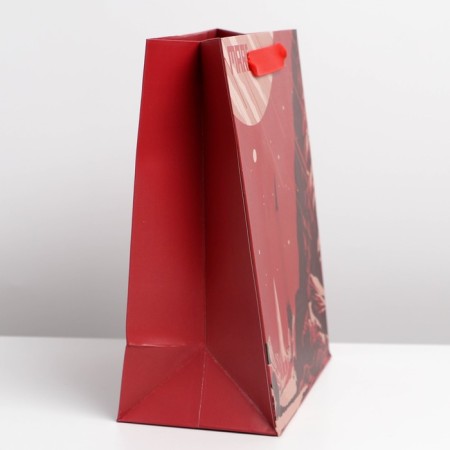 Gift Laminated Vertical Package, Packaging, Mars, Ml 23 x 27 x 11.5 cm-2