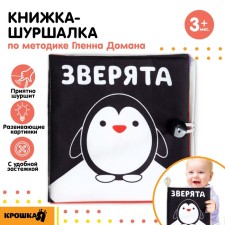 The book is a pitch developing according to the methodology of the city of Doman 