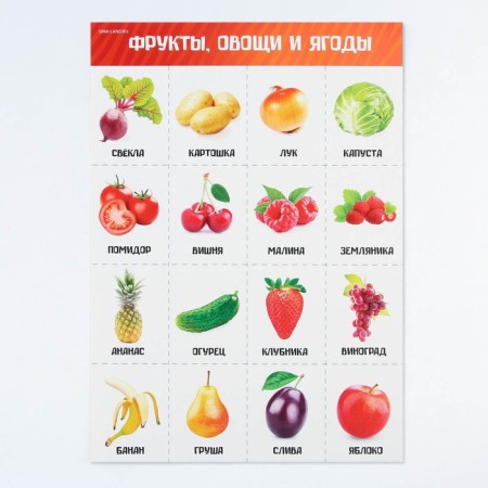 A set of training posters "Study the world", 10 in 1, A4-35