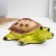 Piggy bank "Turtle Polina" 18x15x8cm