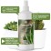 Purshat-m spray for cacti and succulents, 0.5l