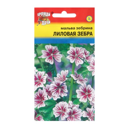Flowers of Malva Zebrin "Lilac Zebra", 0.1 g