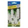 Flowers Dolphinium "Klia Spring", white, 0.05 g