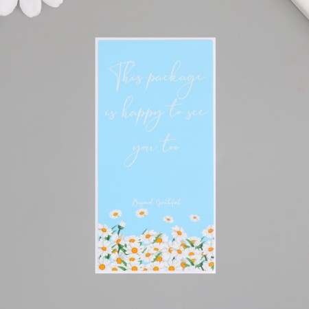 Stick Paper Gratitude "Chamomile and Sky" set of 50 pcs 10x5 cm-1