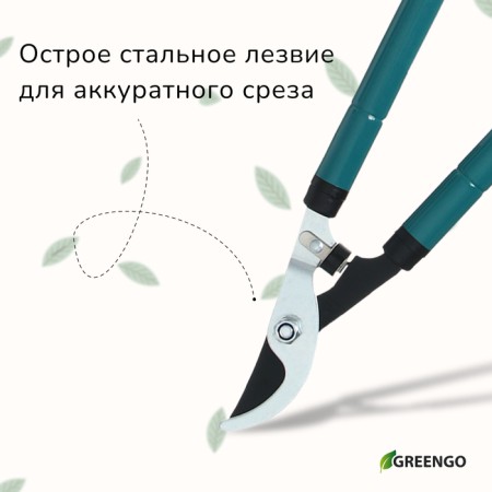 Buscores of the flat, 22.5–33 "(57–84 cm), telescopic, with rubber handles, Greengo-2