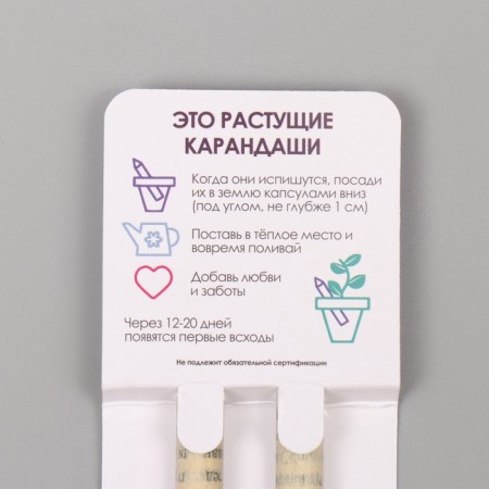 Growing gift pencils mini "Mint + lavender" set 2 pcs.-2