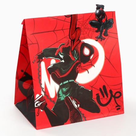 A set of craft packages with stickers, Spider-Man, 18x22x12 cm-3