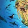 Interactive zoogeographic globe with a backlight 250mm int12500306