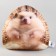 Antistress toy "Hedgehog"