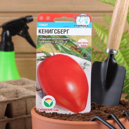Seed Tomat "Koenigsberg", Middle Erand, 20 pcs-2