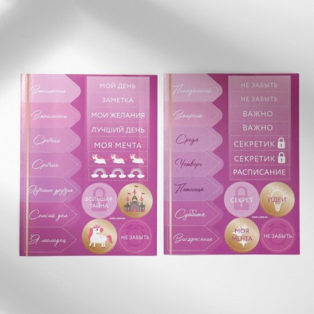 Chancellery set: notebook coloring, stencils, stickers and wax crayons "for the most beautiful princess"-2