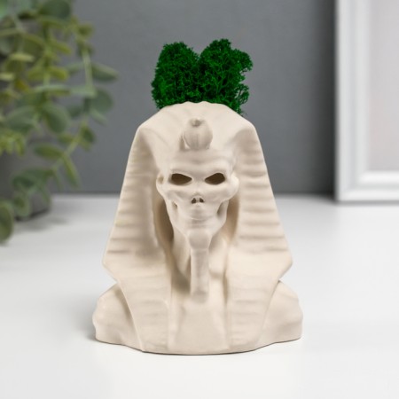 Concrete Kashpo "Pharaoh Skeleton" with moss 10x8.5 cm white (moss green stabilized)