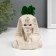 Concrete Kashpo "Pharaoh Skeleton" with moss 10x8.5 cm white (moss green stabilized)