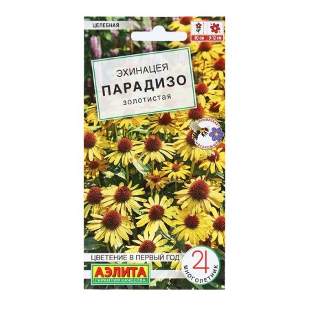 Echinacea Flows "Paradiso Golden", 5 pcs