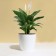 Flower pot, d = 21 cm, 5.2 l, plastic, white