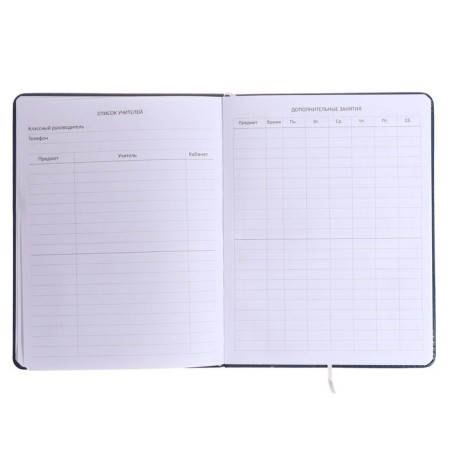 Universal diary for grade 1-11, solid cover, artificial leather, blue cover, lies, 80 g/m2-5