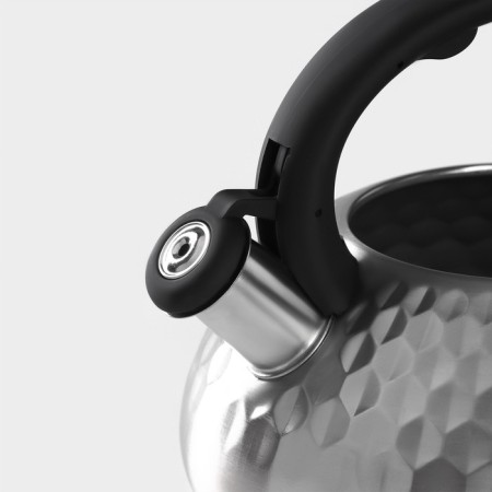 A kettle with a stainless steel whistle Magistro Glow, 3 L, Induction, Soft-Touch handle, silver color-2