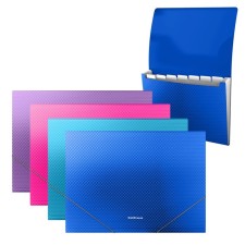 Folder-carte, A4, 6 departments, 700 μm, Erichkrause 