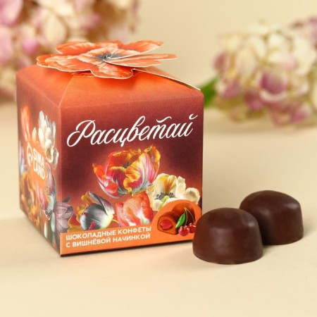 Chocolate sweets "Bloom", taste: Cherry, 60 g.