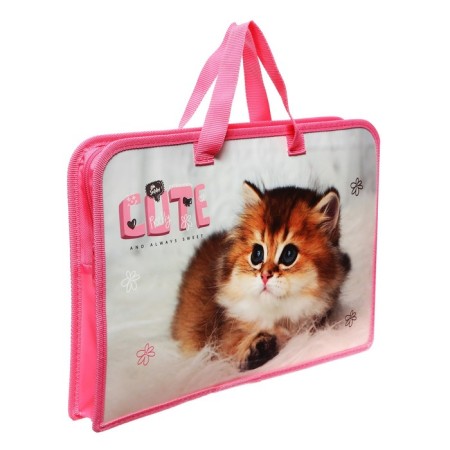 Folder with A4 handles, 340 x 245 x 40 mm, plastic, handles, ONICS PT-14 Cute Kitty-1
