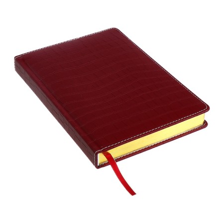 Dated diary 2024 A5 176 sheets, Devente.wild, Firmly covered with artificial leather, gold cut, lies, cream block 70 g/m2, burgundy block-3