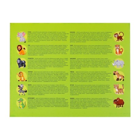 Game of desktop "Memory" wild animals, 16 pcs.-4