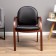 Juno chair eco -leather black/tree