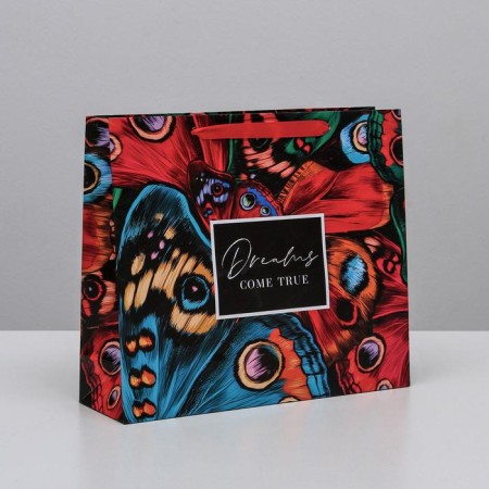 Gift Laminated Horizontal Package, packaging, Dreams Come True, M 26 x 30 x 9 cm-1