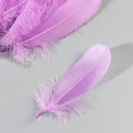 A set of goose feathers 13-18 cm, 20 pcs, light purple-3