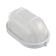 Lamp NBP 04-100-002, UHL1, 100W, E27, 220V, IP54, with a lattice, white