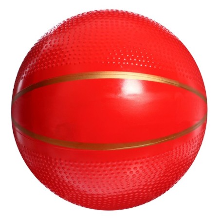 The ball "Favorite", diameter - 200 mm-2