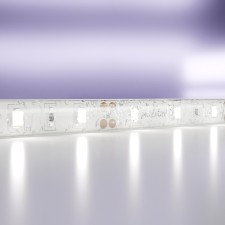 Maytoni LED strip, 12V, IP65, 2835, 7.2W/m, 6000k, 5 m, monochrome glow