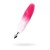 White-pink tail