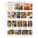 Big illustrated guide of everything. 5,000 illustrations that can be considered for a whole year
