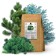 Ionite substrate for growing coniferous plants, 10 kg, zion