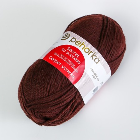 Yarn "Secret of success" 100% wool 250m/100g (251 brown)-1