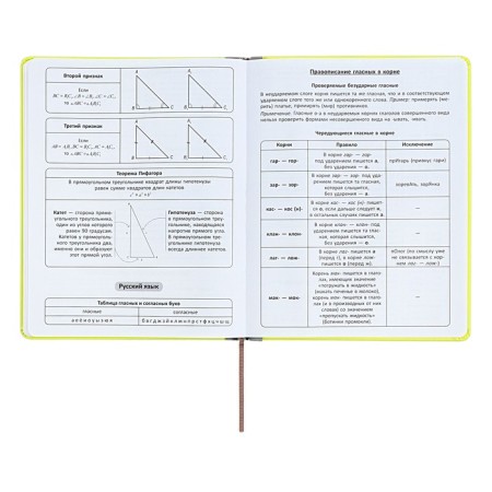 The universal diary for grades 1-11 is an excellent student, a solid cover made of artificial leather, silkography, lies, 48 ​​sheets, light green-9