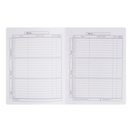 School diary for grades 1-11, "Chamomile", hard cover, artificial leather, glitter, silk-screen printing, 48 sheets, liesse, OFSET 80g/m2 block-3